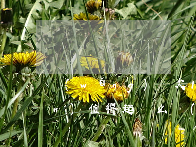 網(wǎng)貸欠1000塊錢(qián)值得起訴么(網(wǎng)貸欠款1000會(huì)被起訴嗎)