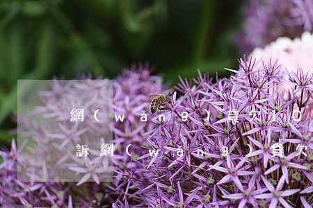 網(wǎng)貸欠1000多會不會被起訴(網(wǎng)貸欠1000塊錢可以起訴嗎)