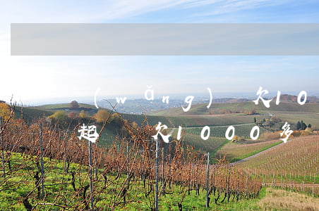 網(wǎng)貸欠1000會(huì)起訴嗎(欠1000多網(wǎng)貸會(huì)被起訴嗎)