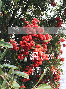 網(wǎng)貸欠1000會被起訴嗎(欠網(wǎng)貸1000塊錢會被起訴嗎)