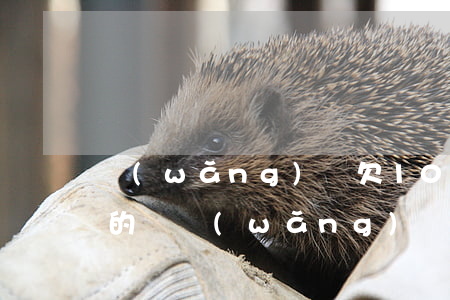 網(wǎng)貸欠1000短信律師函真的嗎(網(wǎng)貸欠一千多會(huì)被寄律師函)