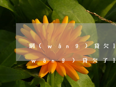 網(wǎng)貸欠1000還不進去(網(wǎng)貸欠了100萬還不起怎么辦)