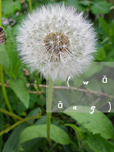 網(wǎng)貸欠100塊錢圖片(網(wǎng)貸欠款2000截圖)