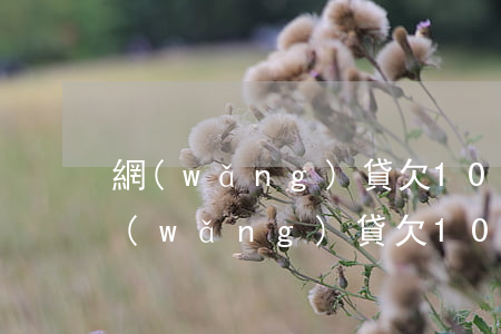 網(wǎng)貸欠10多萬怎么拯救-網(wǎng)貸欠10多萬怎么拯救他人