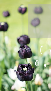 網(wǎng)貸欠10多萬怎么還(網(wǎng)貸欠了10萬)