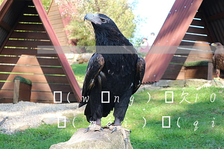 網(wǎng)貸欠10萬(wàn)家里沒(méi)錢(qián)還(欠了十多萬(wàn)網(wǎng)貸沒(méi)錢(qián)還怎么辦)