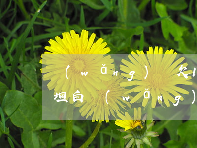 網(wǎng)貸欠10萬(wàn)怎么坦白(網(wǎng)貸欠了10萬(wàn)怎樣和父母坦白)
