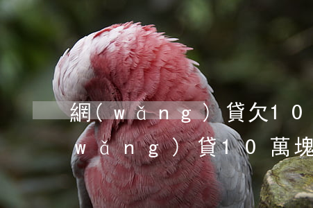 網(wǎng)貸欠10萬 利息多少錢(網(wǎng)貸10萬塊錢的利息)