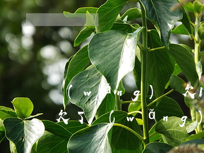 網(wǎng)貸欠10萬怎么辦上征信的(欠了網(wǎng)貸十萬怎么辦)