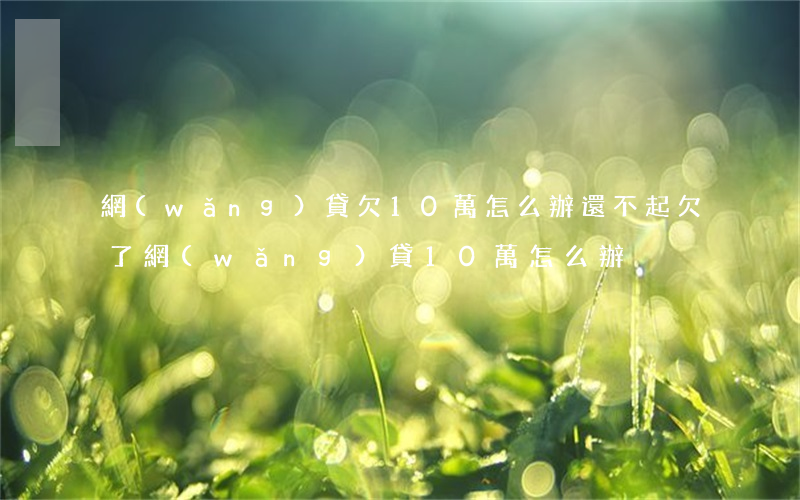網(wǎng)貸欠10萬怎么辦還不起(欠了網(wǎng)貸10萬怎么辦)