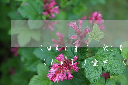 網(wǎng)貸欠10萬會(huì)不會(huì)坐牢(網(wǎng)貸10萬不還會(huì)坐牢嗎)