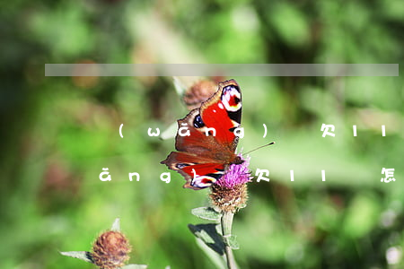 網(wǎng)貸欠11萬如何自救(網(wǎng)貸欠11萬怎么處理)