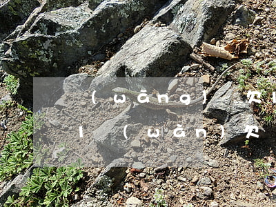 網(wǎng)貸欠13萬(wàn)月薪1萬(wàn)(欠網(wǎng)貸13萬(wàn)工資4000怎么還)
