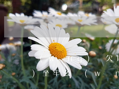 網(wǎng)貸欠15000會(huì)坐牢么(網(wǎng)貸12000不還會(huì)坐牢嗎)
