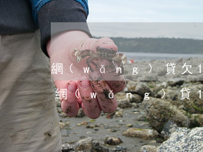 網(wǎng)貸欠1500元可以起訴嗎(網(wǎng)貸1500元值得起訴嗎)