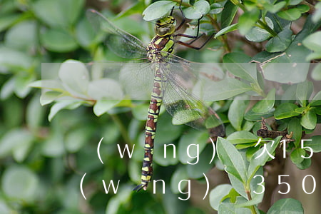 網(wǎng)貸欠150不還會怎樣(欠網(wǎng)貸35000不還有什么后果)