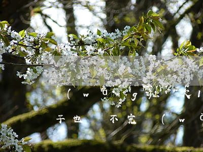 網(wǎng)貸欠15萬(wàn)一輩子也還不完(網(wǎng)貸欠款15萬(wàn)怎么辦)