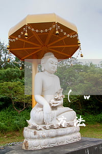 網(wǎng)貸欠15萬(wàn)自救方法(網(wǎng)貸欠款15萬(wàn)我該怎么辦)