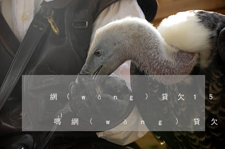 網(wǎng)貸欠15萬不還3年沒事兒嗎(網(wǎng)貸欠了15萬我該怎么辦)