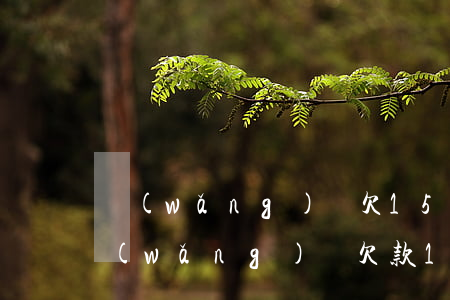 網(wǎng)貸欠15萬不還會上門嗎(網(wǎng)貸欠款15萬怎么辦)