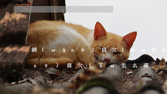 網(wǎng)貸欠16w怎么還(網(wǎng)貸欠16w怎么還)