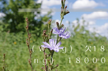 網(wǎng)貸欠18000沒還(網(wǎng)貸18000會被起訴嗎)