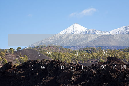 網(wǎng)貸欠1萬四起訴是真的嗎(網(wǎng)貸欠了四千貨款會被起訴么)