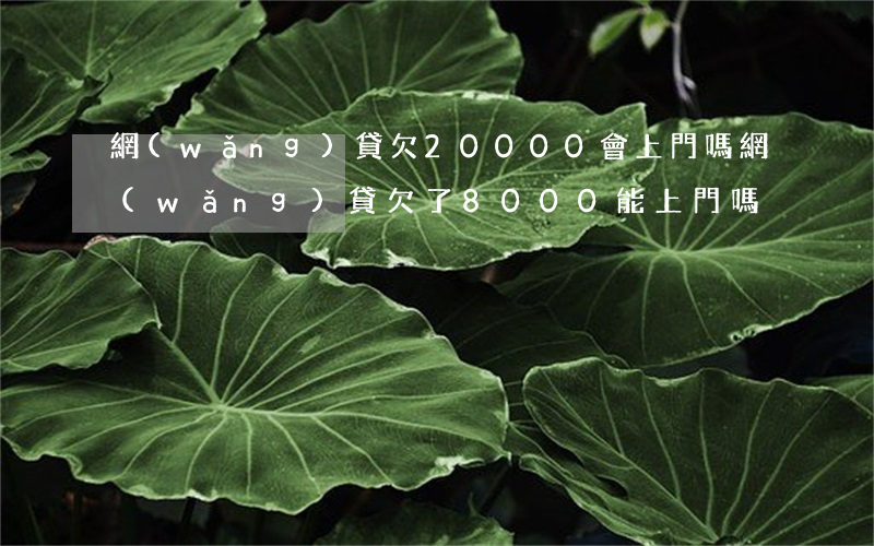 網(wǎng)貸欠20000會上門嗎(網(wǎng)貸欠了8000能上門嗎)