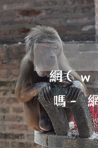 網(wǎng)貸欠2000塊錢會被起訴嗎-網(wǎng)貸欠2000塊錢會被起訴嗎知乎