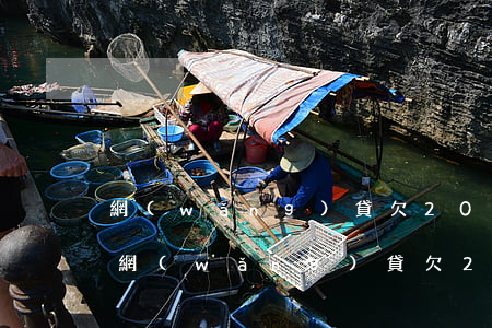 網(wǎng)貸欠2000多元法院上門(網(wǎng)貸欠2000多元法院上門)