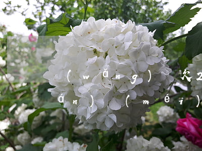 網(wǎng)貸欠2000多塊錢(qián)沒(méi)有還(網(wǎng)貸欠1500不還會(huì)怎樣)
