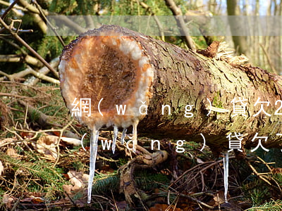 網(wǎng)貸欠2000幾個月后果(網(wǎng)貸欠了2000多會怎樣?)