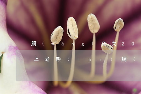 網(wǎng)貸欠2000會(huì)上老賴(lài)(網(wǎng)貸欠多少錢(qián)算是老賴(lài))
