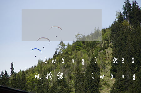 網(wǎng)貸欠2000會(huì)被拘留嗎(網(wǎng)貸欠款多少會(huì)被拘留嗎)