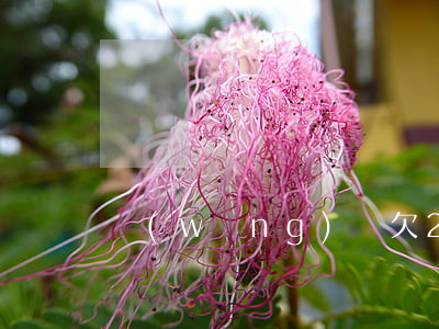 網(wǎng)貸欠2000要坐牢嗎