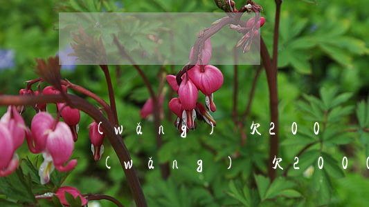 網(wǎng)貸欠200塊錢法院立案嗎(網(wǎng)貸欠2000多元法院會受理嗎)