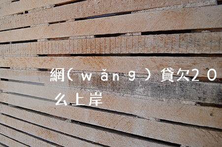 網(wǎng)貸欠20多萬(wàn)怎么上岸