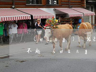 網(wǎng)貸欠20多萬(wàn)還不起(網(wǎng)貸欠了二十萬(wàn)還不起怎么辦)