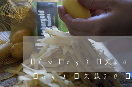 網(wǎng)貸欠20多萬怎么辦(網(wǎng)貸欠款20萬)