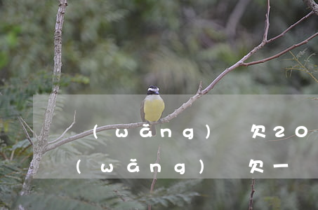 網(wǎng)貸欠20多萬會被坐牢嗎(網(wǎng)貸欠一萬多會坐牢嗎)