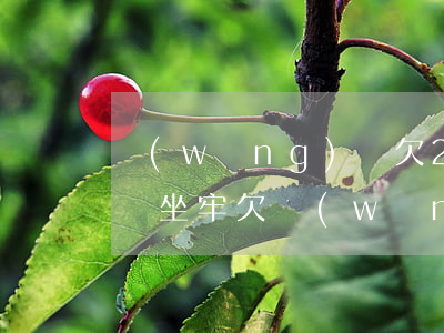 網(wǎng)貸欠20萬(wàn)多少錢坐牢(欠網(wǎng)貸20000元會(huì)坐牢嗎)