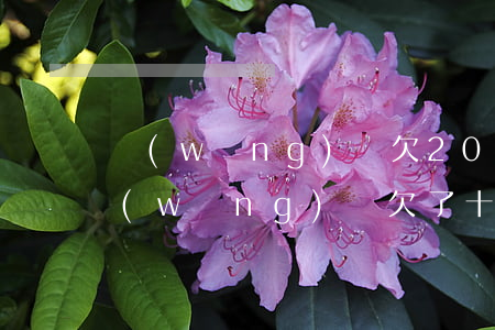 網(wǎng)貸欠20萬怎么和親戚說(網(wǎng)貸欠了十幾萬怎么和家里說)