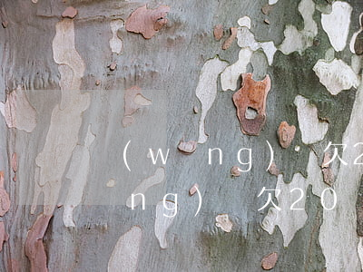 網(wǎng)貸欠20萬怎么還清(網(wǎng)貸欠20萬不還)
