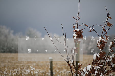 網(wǎng)貸欠20萬無力償還怎么辦(網(wǎng)貸欠款20萬無力償還怎么辦)