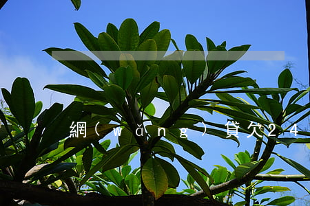 網(wǎng)貸欠2400會被起訴嗎