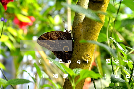 網(wǎng)貸欠2500塊錢會(huì)被起訴嗎(網(wǎng)貸欠2500塊錢會(huì)被起訴嗎)