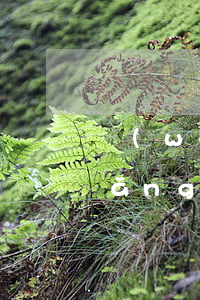 網(wǎng)貸欠26萬怎么辦(欠網(wǎng)貸十幾萬怎么辦)