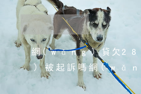 網(wǎng)貸欠2800元會(huì)被起訴嗎(網(wǎng)貸欠2800元會(huì)被起訴嗎)