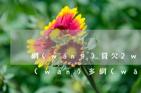 網(wǎng)貸欠2w怎么辦啊(欠了二萬(wàn)多網(wǎng)貸不知道該怎么辦了)