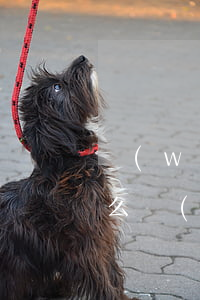 網(wǎng)貸欠2千會(huì)起訴么(網(wǎng)貸欠2千會(huì)起訴么嗎)